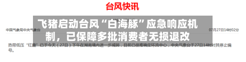 飞猪启动台风“白海豚”应急响应机制，已保障多批消费者无损退改-第2张图片