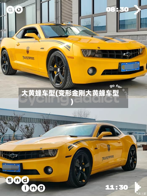 大黄蜂车型(变形金刚大黄蜂车型)-第3张图片