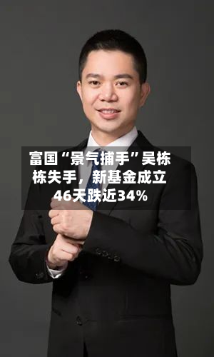 富国“景气捕手”吴栋栋失手，新基金成立46天跌近34%-第2张图片