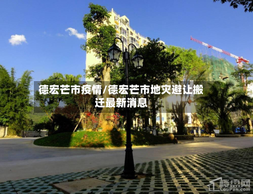 德宏芒市疫情/德宏芒市地灾避让搬迁最新消息-第2张图片