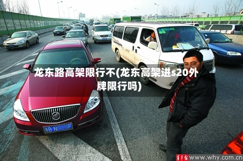 龙东路高架限行不(龙东高架进s20外牌限行吗)