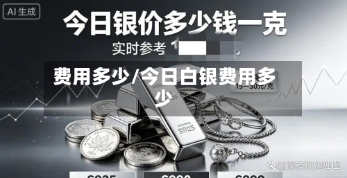 费用多少/今日白银费用多少-第2张图片