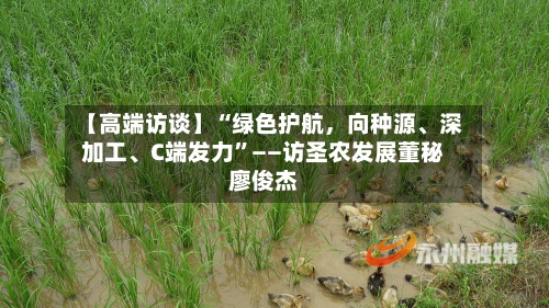 【高端访谈】“绿色护航，向种源、深加工	、C端发力	”——访圣农发展董秘廖俊杰-第2张图片