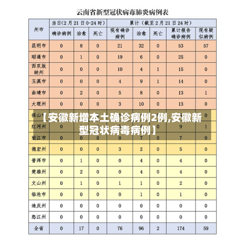 【安徽新增本土确诊病例2例,安徽新型冠状病毒病例】
