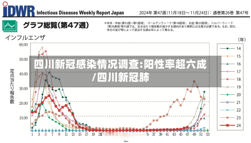 四川新冠感染情况调查:阳性率超六成/四川新冠肺