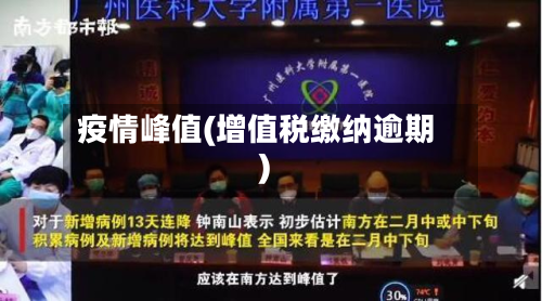 疫情峰值(增值税缴纳逾期)-第2张图片