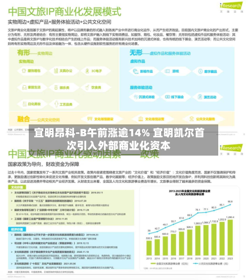 宜明昂科-B午前涨逾14% 宜明凯尔首次引入外部商业化资本-第2张图片