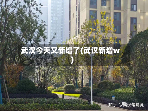武汉今天又新增了(武汉新增w)
