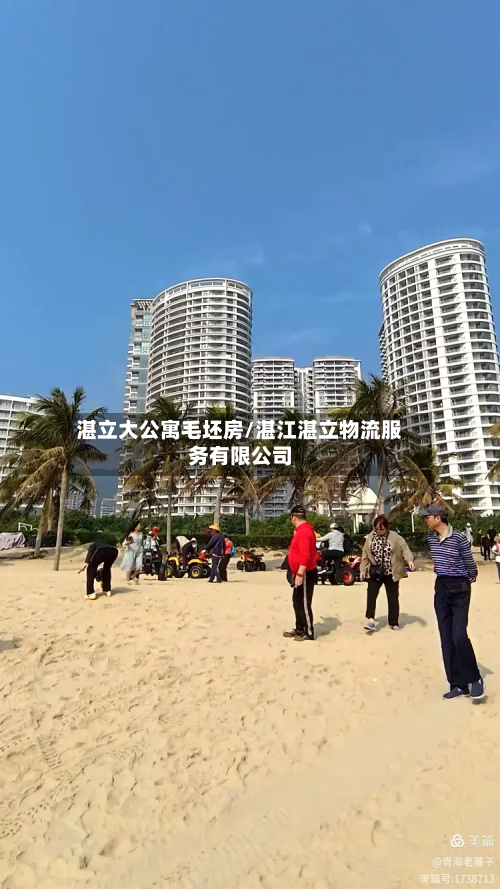 湛立大公寓毛坯房/湛江湛立物流服务有限公司-第2张图片