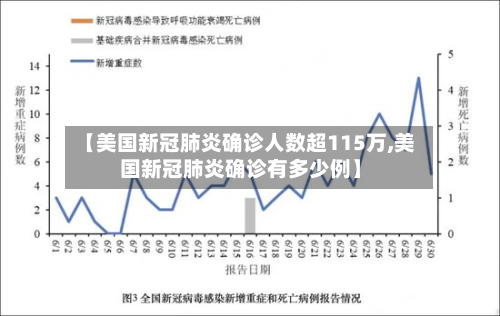 【美国新冠肺炎确诊人数超115万,美国新冠肺炎确诊有多少例】