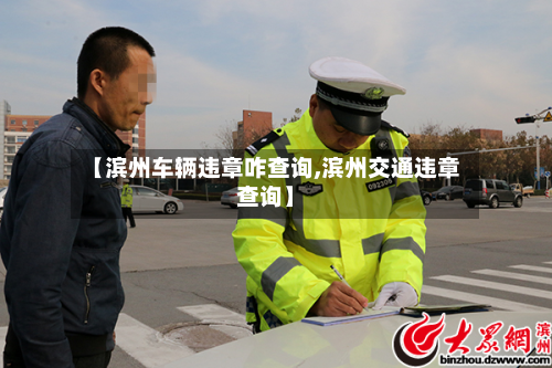 【滨州车辆违章咋查询,滨州交通违章查询】