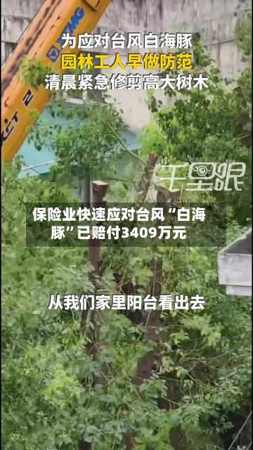 保险业快速应对台风“白海豚”已赔付3409万元-第2张图片