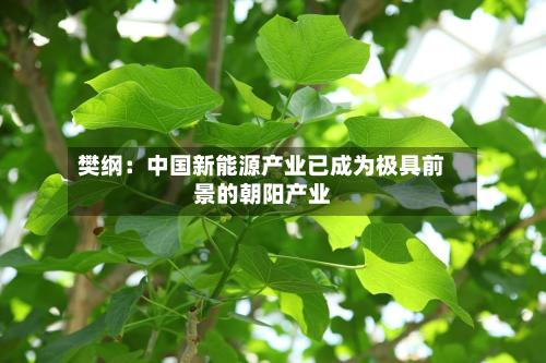 樊纲:中国新能源产业已成为极具前景的朝阳产业-第2张图片