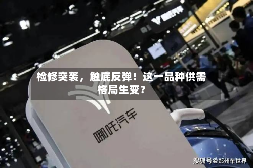 检修突袭，触底反弹！这一品种供需格局生变？-第1张图片
