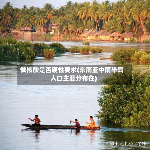 做核酸是否硬性要求(东南亚中南半岛人口主要分布在)-第2张图片