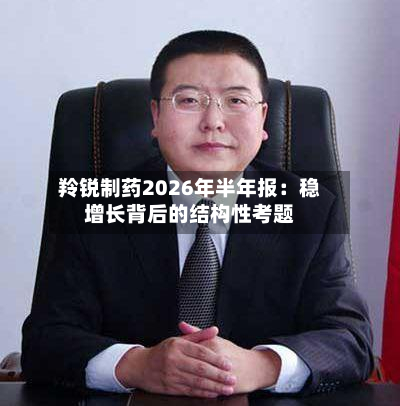 羚锐制药2026年半年报：稳增长背后的结构性考题-第2张图片