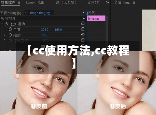【cc使用方法,cc教程】