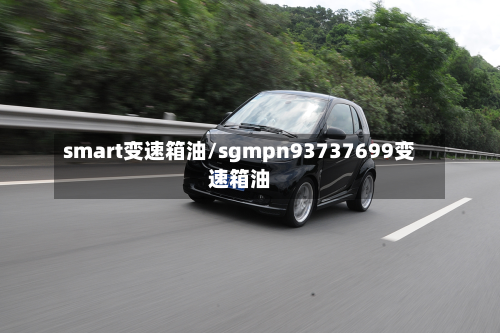 smart变速箱油/sgmpn93737699变速箱油