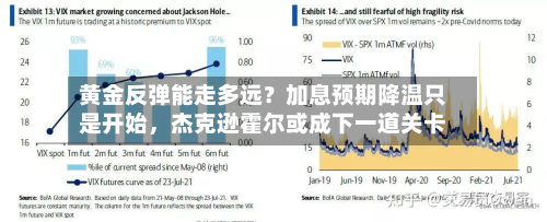 黄金反弹能走多远？加息预期降温只是开始，杰克逊霍尔或成下一道关卡-第3张图片