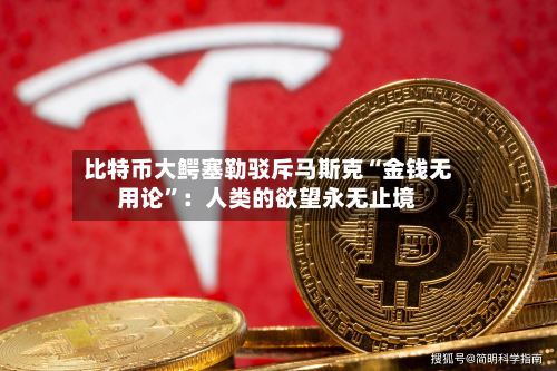 比特币大鳄塞勒驳斥马斯克“金钱无用论	”：人类的欲望永无止境-第2张图片