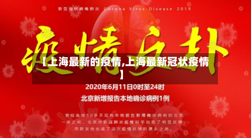 【上海最新的疫情,上海最新冠状疫情】-第2张图片