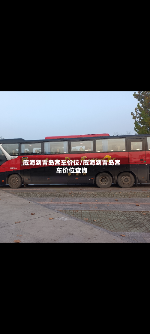 威海到青岛客车价位/威海到青岛客车价位查询-第3张图片
