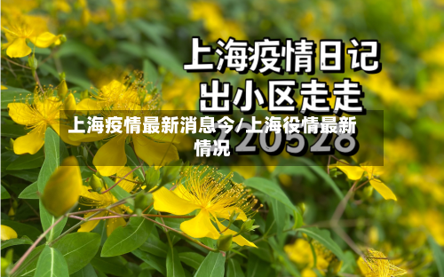 上海疫情最新消息今/上海役情最新情况