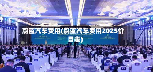 蔚蓝汽车费用(蔚蓝汽车费用2025价目表)-第2张图片