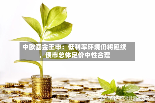 中欧基金王申：低利率环境仍将延续	，债市总体定价中性合理-第2张图片