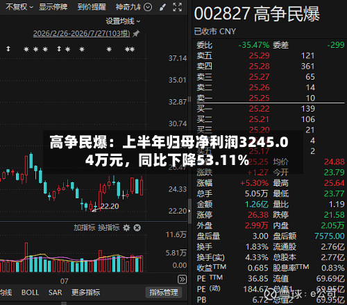 高争民爆：上半年归母净利润3245.04万元，同比下降53.11%-第2张图片