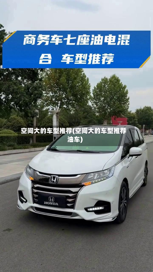 空间大的车型推荐(空间大的车型推荐油车)