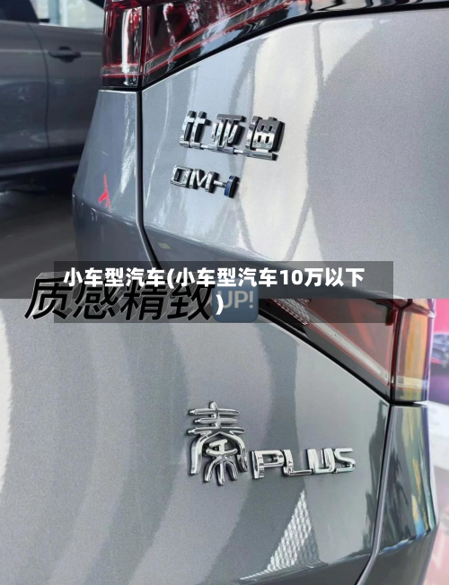 小车型汽车(小车型汽车10万以下)