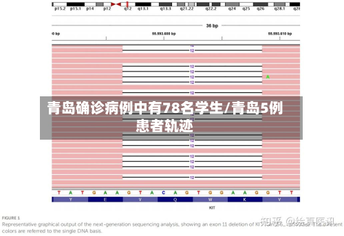 青岛确诊病例中有78名学生/青岛5例患者轨迹
