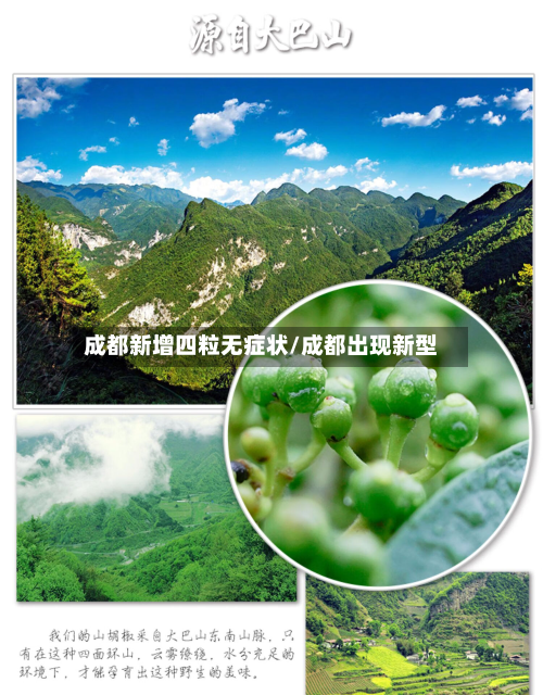 成都新增四粒无症状/成都出现新型-第3张图片