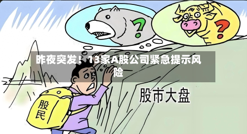 昨夜突发!13家A股公司紧急提示风险-第2张图片