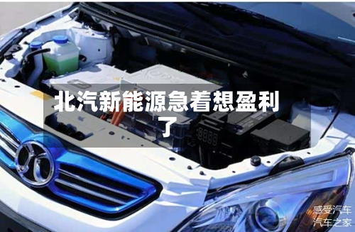 北汽新能源急着想盈利了-第2张图片
