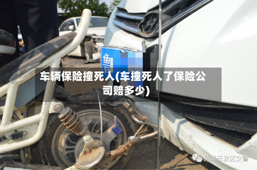 车辆保险撞死人(车撞死人了保险公司赔多少)