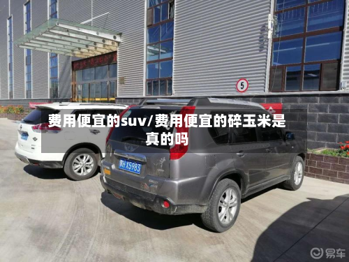 费用便宜的suv/费用便宜的碎玉米是真的吗-第3张图片