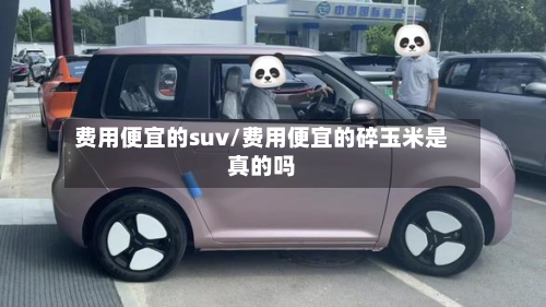 费用便宜的suv/费用便宜的碎玉米是真的吗-第2张图片