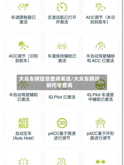 大众车辆信息查询系统/大众车辆识别代号查询