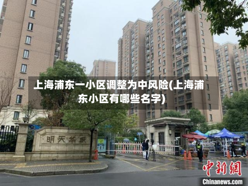 上海浦东一小区调整为中风险(上海浦东小区有哪些名字)-第2张图片