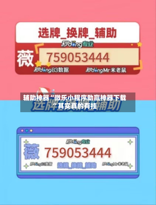 辅助神器“微乐小程序助赢神器下载”其实真的有挂-第3张图片