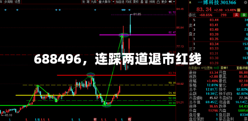 688496，连踩两道退市红线-第2张图片