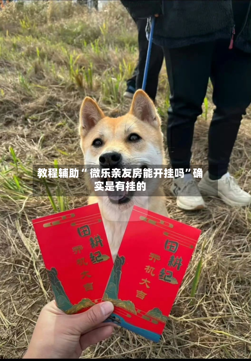 教程辅助“ 微乐亲友房能开挂吗”确实是有挂的-第2张图片