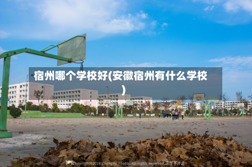 宿州哪个学校好(安徽宿州有什么学校)-第3张图片