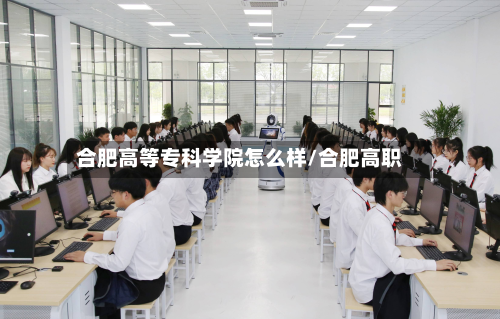 合肥高等专科学院怎么样/合肥高职-第2张图片