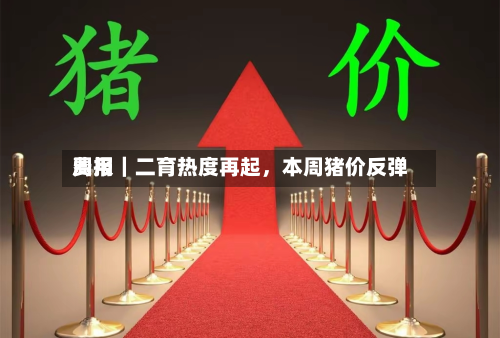 费用周报｜二育热度再起	，本周猪价反弹-第2张图片