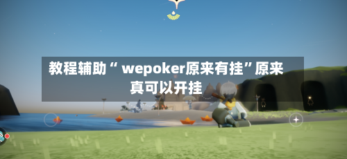 教程辅助“ wepoker原来有挂”原来真可以开挂-第2张图片