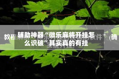 辅助神器“微乐麻将开挂怎么识破”其实真的有挂-第3张图片
