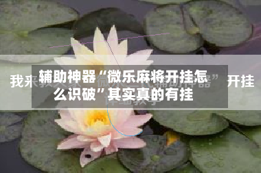 辅助神器“微乐麻将开挂怎么识破	”其实真的有挂-第2张图片